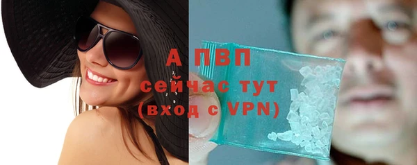 стаф Магадан