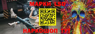 гидра Будённовск