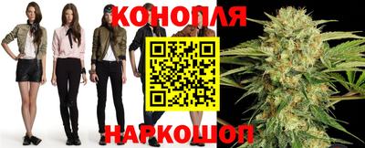 гидра Будённовск