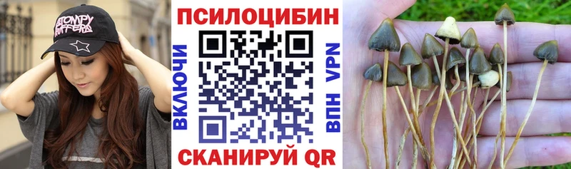 Галлюциногенные грибы мицелий  Домодедово 
