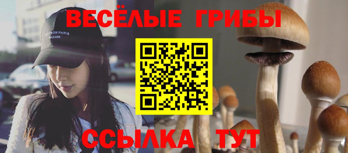 Псилоцибиновые грибы прущие грибы  Домодедово 