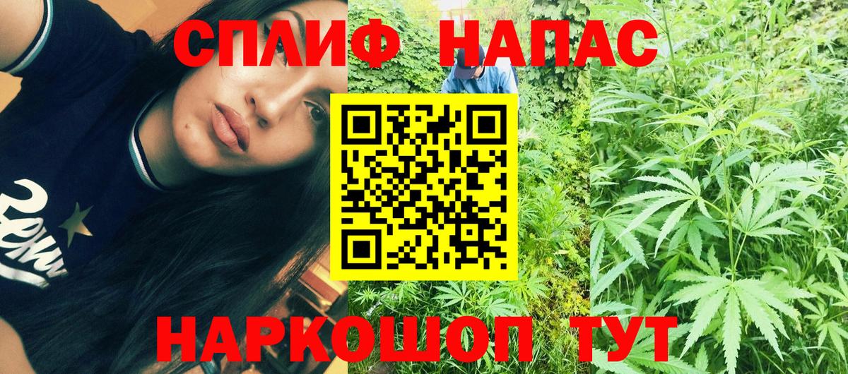 Канабис OG Kush Домодедово